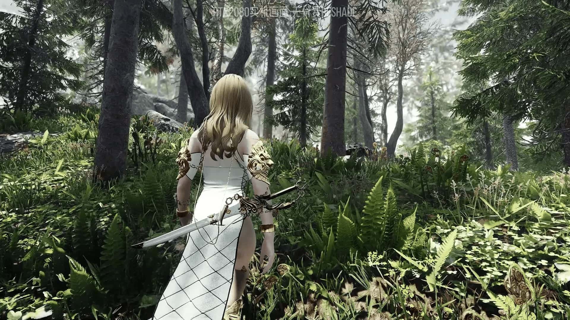 上古卷轴5 星黎SamuRai版 完整整合最新版背景